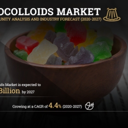 Hydrocolloids Market(2020-2027): Exclusive Report Covering Pre and Post COVID-19 Market Analysis
